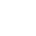 ni-300x231